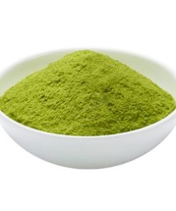 Moringa Oleifera