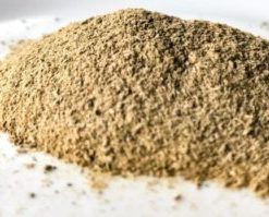Bacopa Monnieri, Brahmi  Powdered