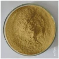 40% Kava Powdered Extract
