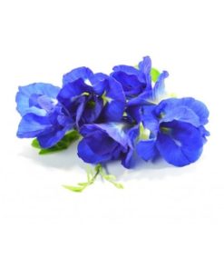Butterfly Blue Tea