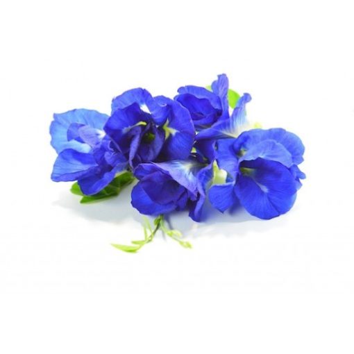 Butterfly Blue Tea