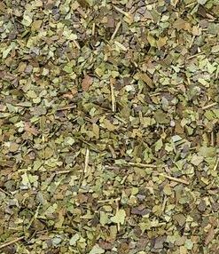 Guayusa
